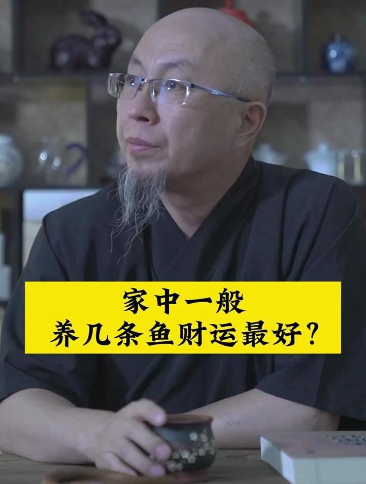 養一條魚有哪些風水講究，養一條魚的風水講究