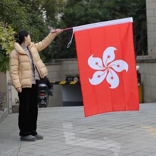 紅龍旗設(shè)計(jì)的歷史背景，紅龍旗的設(shè)計(jì)歷史背景