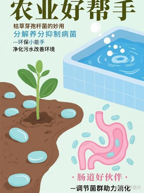 有哪些益生菌適合放在魚缸里？，水產養殖與觀賞魚缸中的益生菌的使用