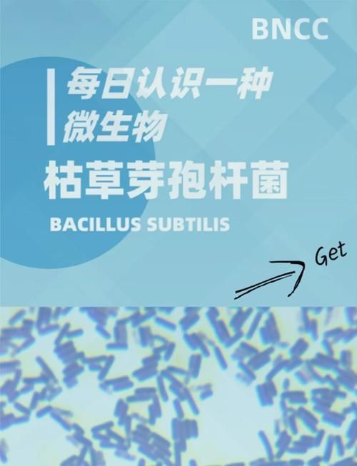 有哪些益生菌適合放在魚缸里？，水產(chǎn)養(yǎng)殖與觀賞魚缸中的益生菌的使用