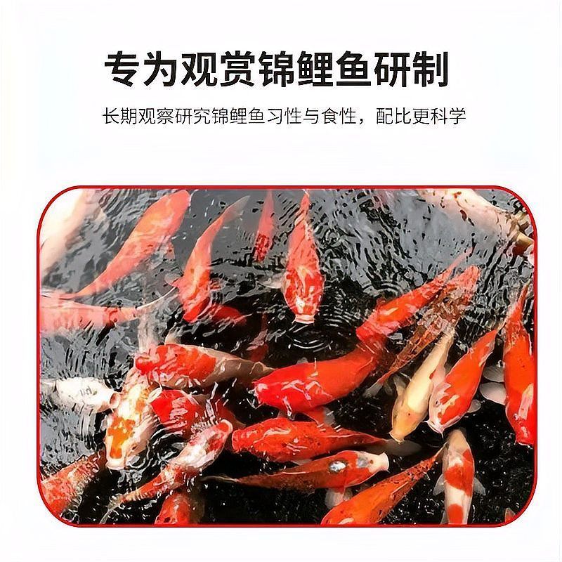 德彩、神陽(yáng)、仟湖哪個(gè)品牌最好？，德彩,神陽(yáng),仟湖哪個(gè)品牌最好?
