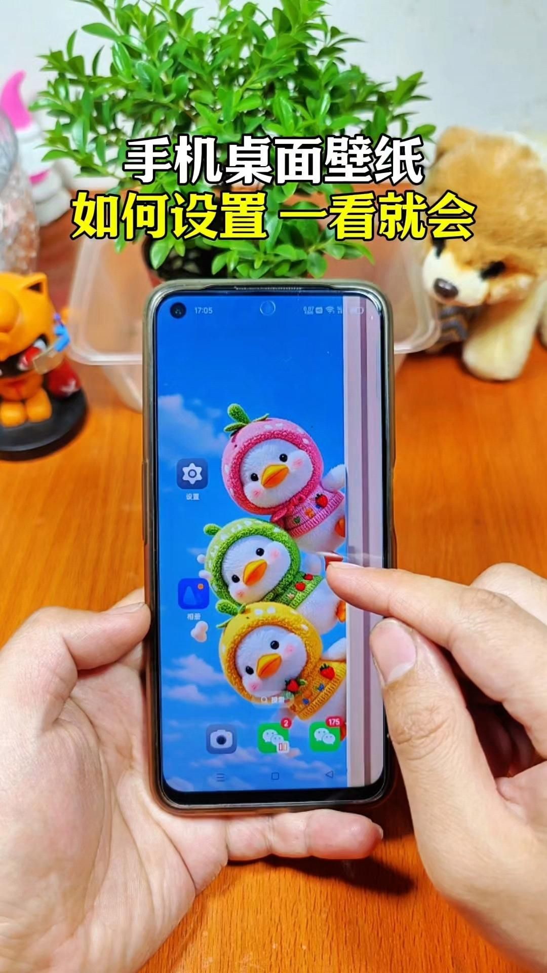 如何設(shè)置紅龍魚壁紙為全屏，如何設(shè)置紅龍魚壁紙為全屏,將手機(jī)壁紙設(shè)置為全屏