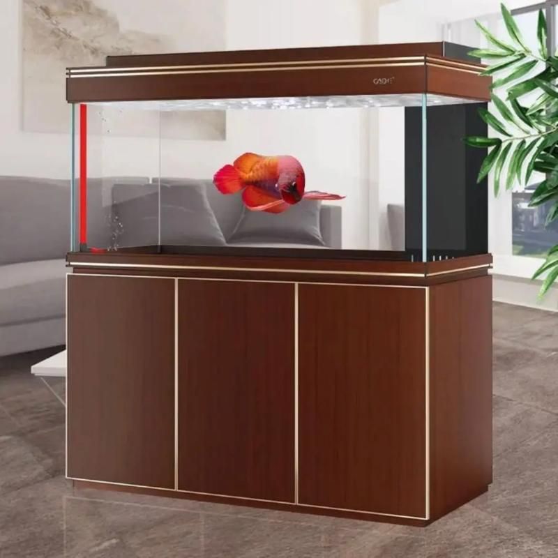 彩鰈品牌有哪些型號的龍魚魚缸可選？，彩鰈品牌提供多種型號的龍魚魚缸設計精美