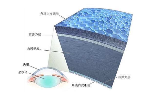 如何預防魚眼白膜的發生，如何預防魚眼白膜