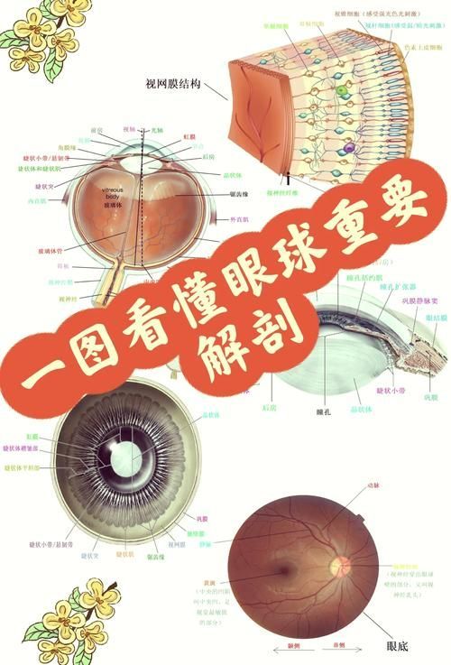 如何預防魚眼白膜的發生，如何預防魚眼白膜