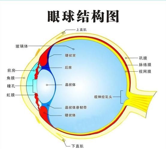 如何預防魚眼白膜的發生，如何預防魚眼白膜
