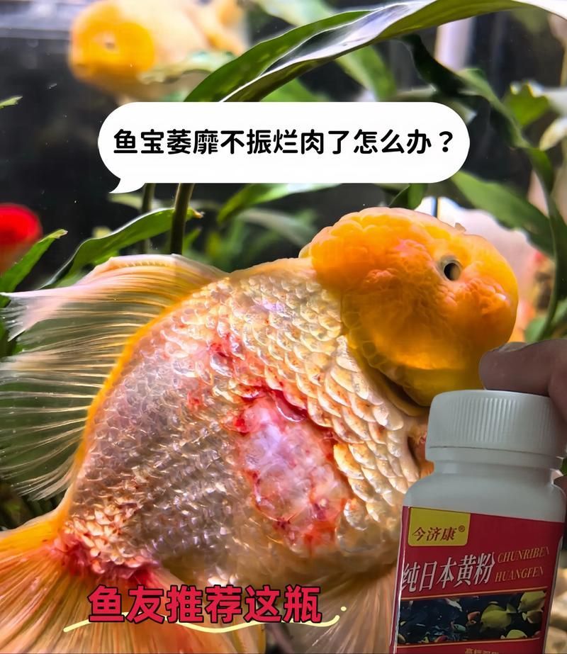 給我一些區分炸鱗類型的圖片，外傷型炸鱗如何治療內臟疾病型炸鱗有哪些治療方法