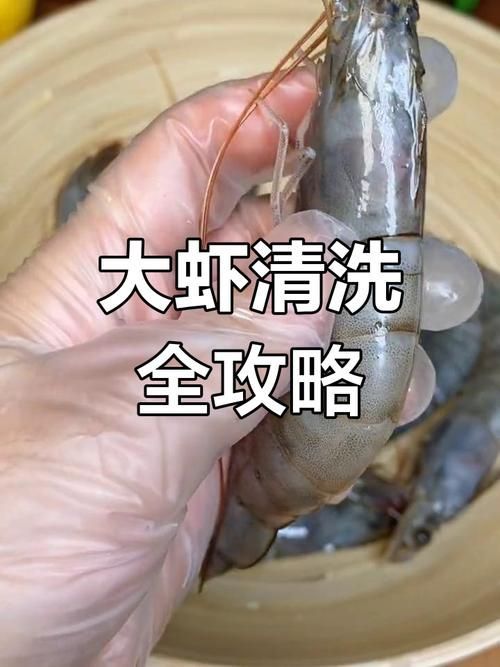 金龍魚日常護理要點