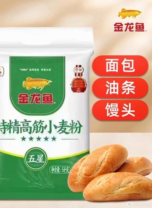 金龍魚日常護理要點