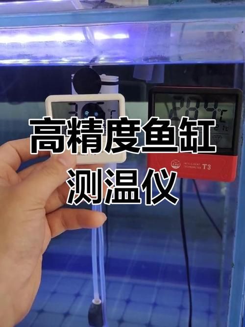 如何判斷金龍魚是否需要升溫，北京冬季金龍魚低溫狀態(tài)與低溫狀態(tài)對比圖