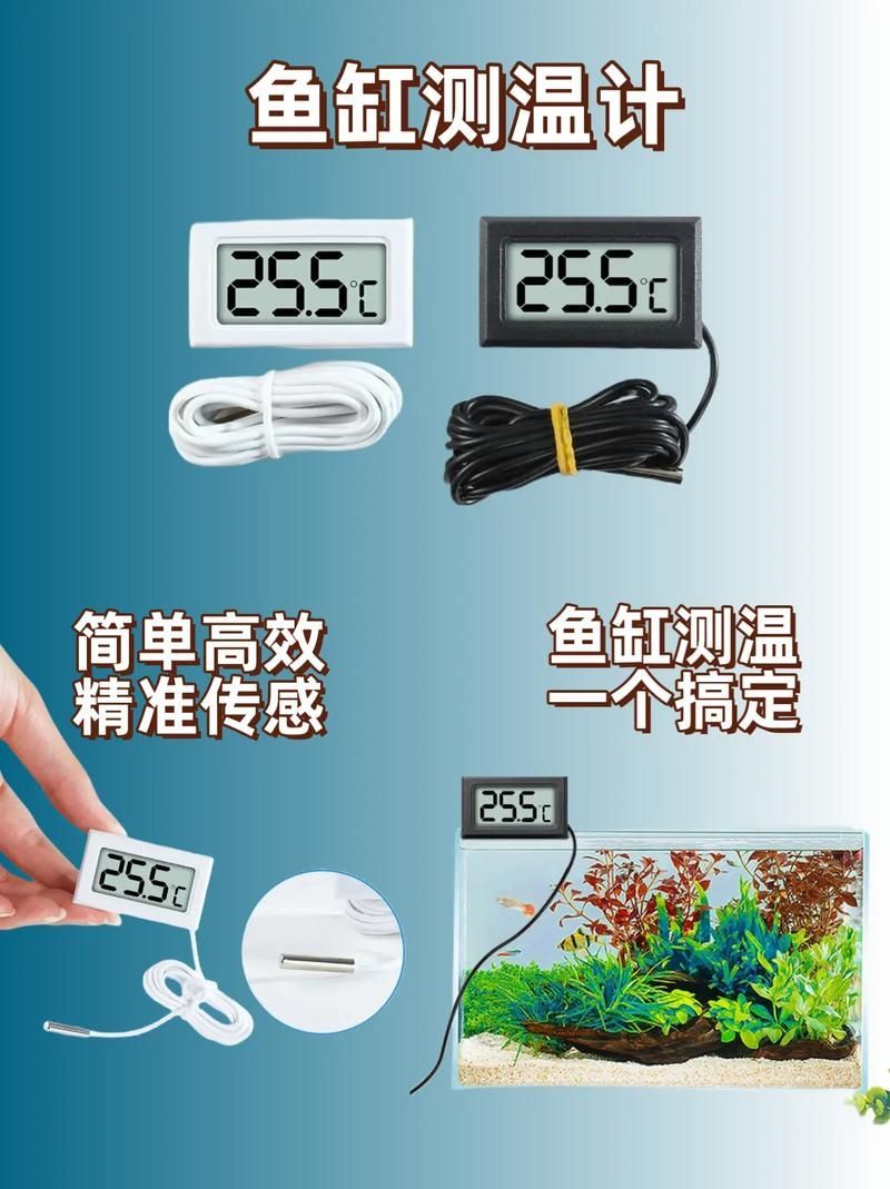 如何判斷金龍魚是否需要升溫，北京冬季金龍魚低溫狀態與低溫狀態對比圖