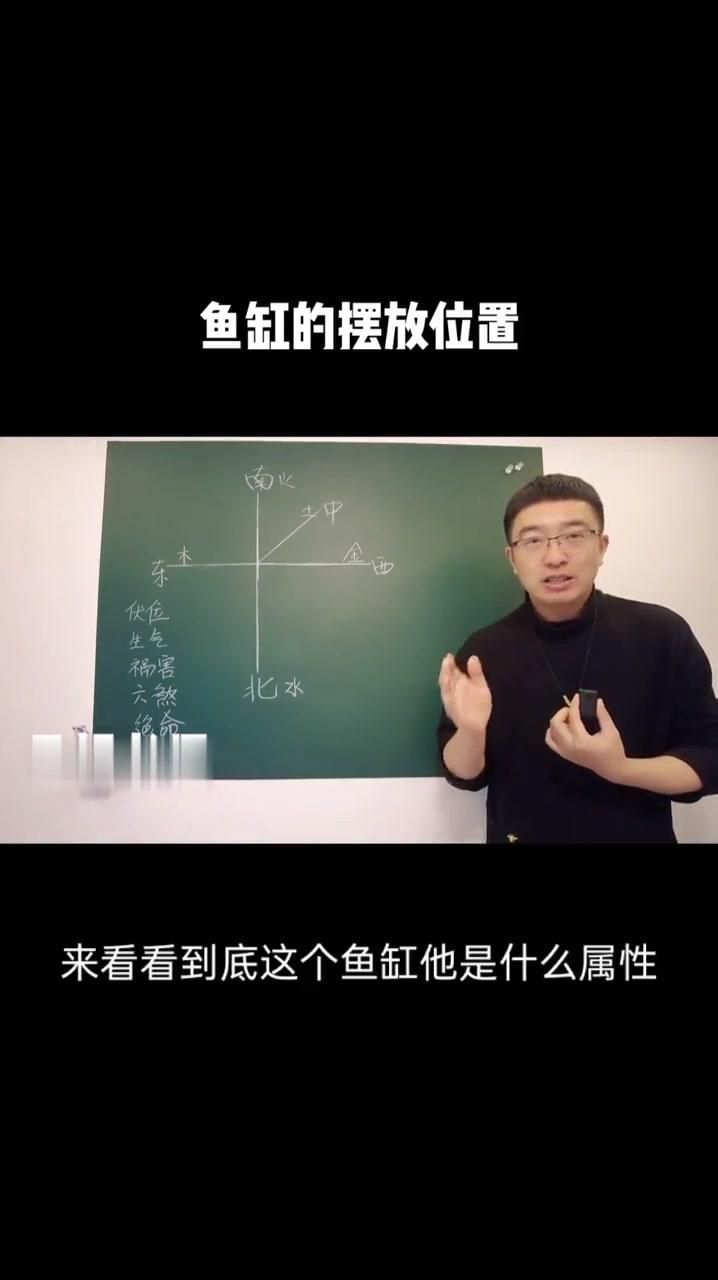 詳解魚缸放在什么位置最吉利，魚缸放在什么位置最吉利