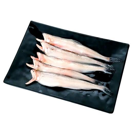 如何區分龍頭魚和江龍魚
