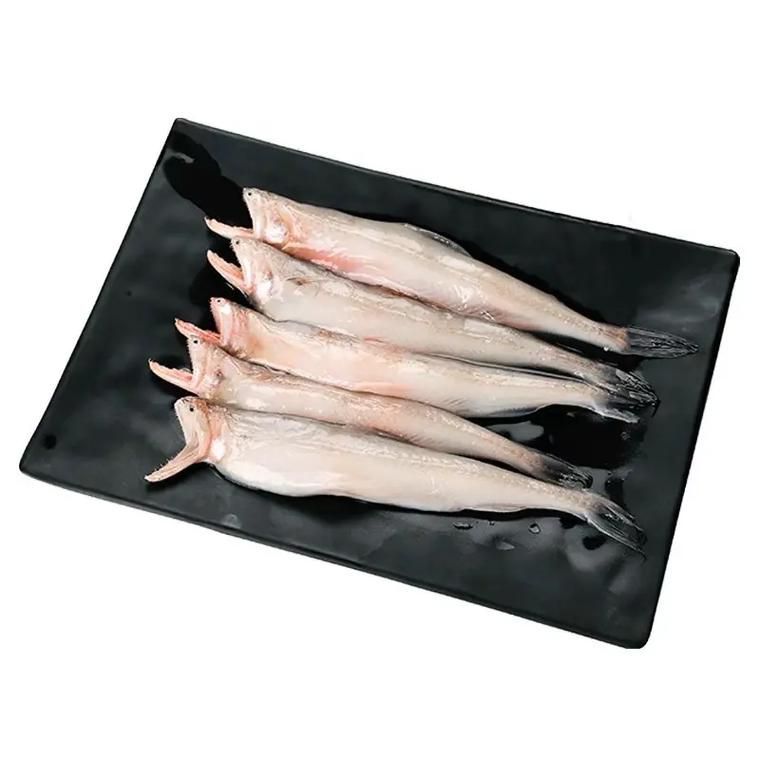 如何區分龍頭魚和江龍魚