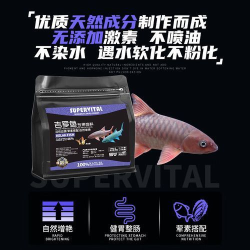 速倍妥魚糧有哪些型號(hào)？，速倍妥魚糧型號(hào)