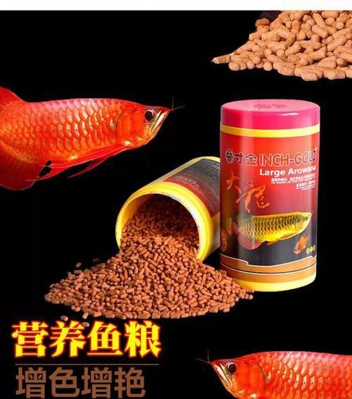 龍魚魚食哪個品牌性價比最高？，龍魚飼料哪個品牌性價比最高龍魚飼料選購清單