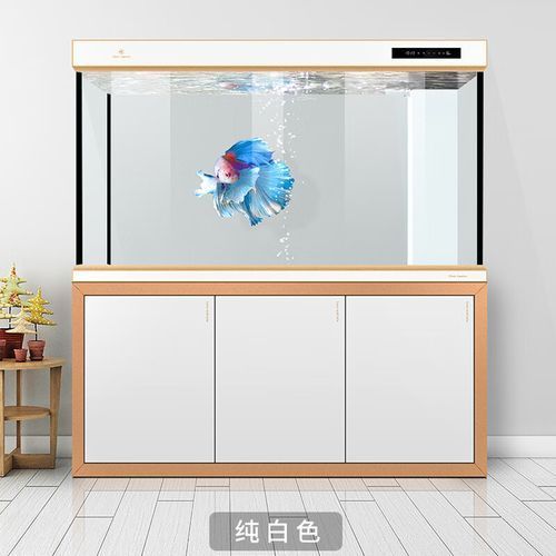 金龍魚魚缸價格范圍，金龍魚魚缸價格在100元至300元人民幣之間需要注意的是