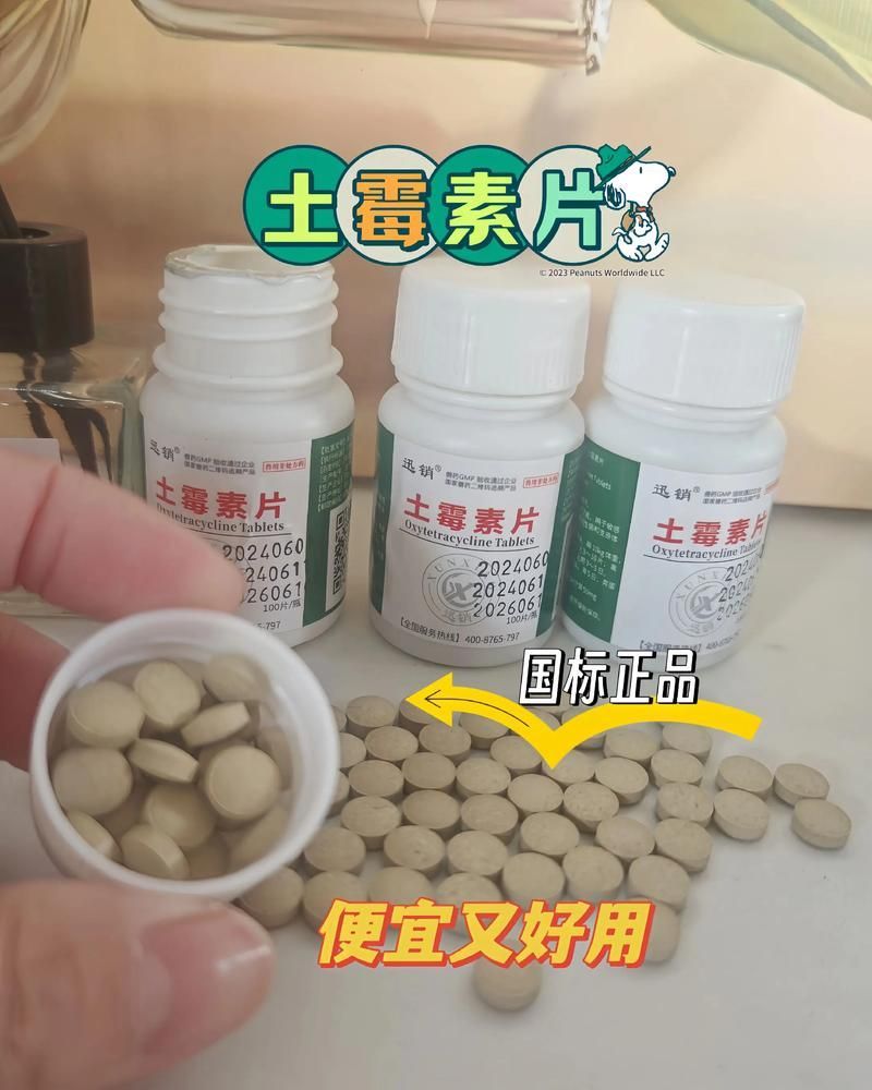 給我一些龍魚細菌性疾病的治療藥物，關于龍魚細菌性疾病用藥