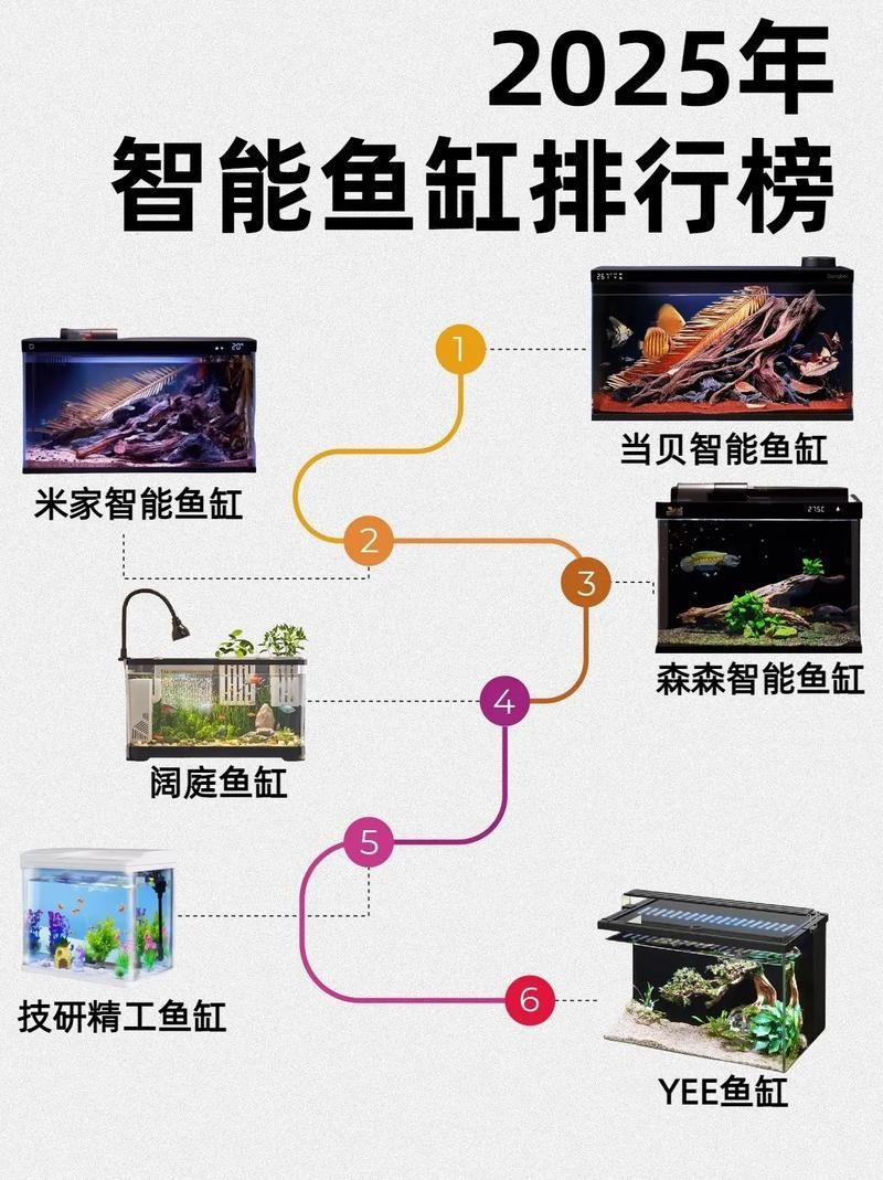 如何安裝和設置LED電子魚缸？，led電子魚缸led電子魚缸安裝與設置全流程詳解