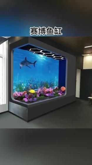 如何安裝和設置LED電子魚缸？，led電子魚缸led電子魚缸安裝與設置全流程詳解