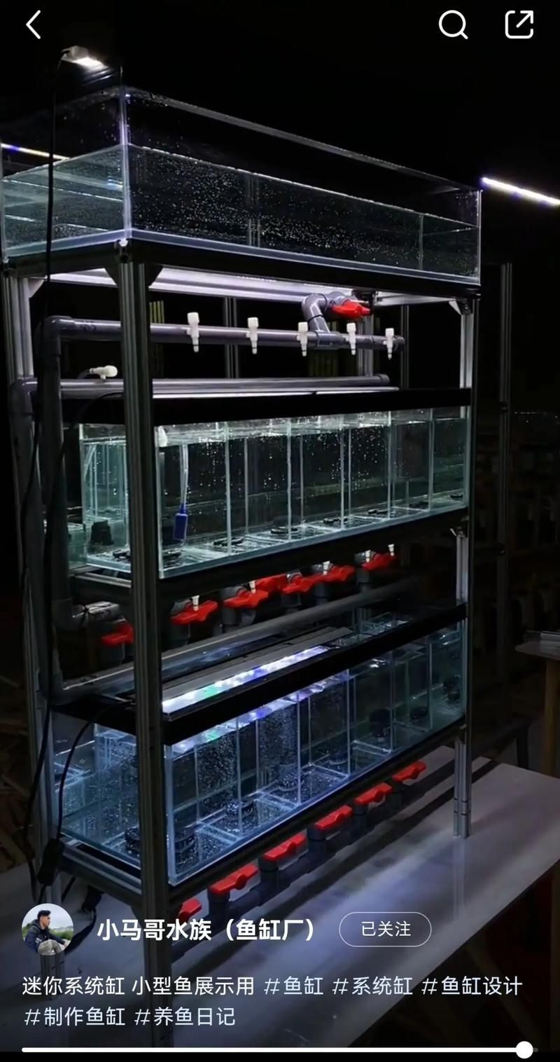 如何安裝和設置LED電子魚缸？，led電子魚缸led電子魚缸安裝與設置全流程詳解