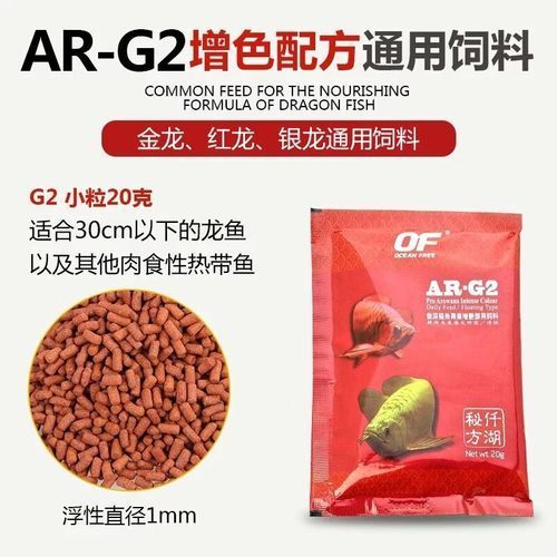 推薦幾款性價比高的紅龍飼料，紅龍飼料**紅龍飼料選擇與喂養