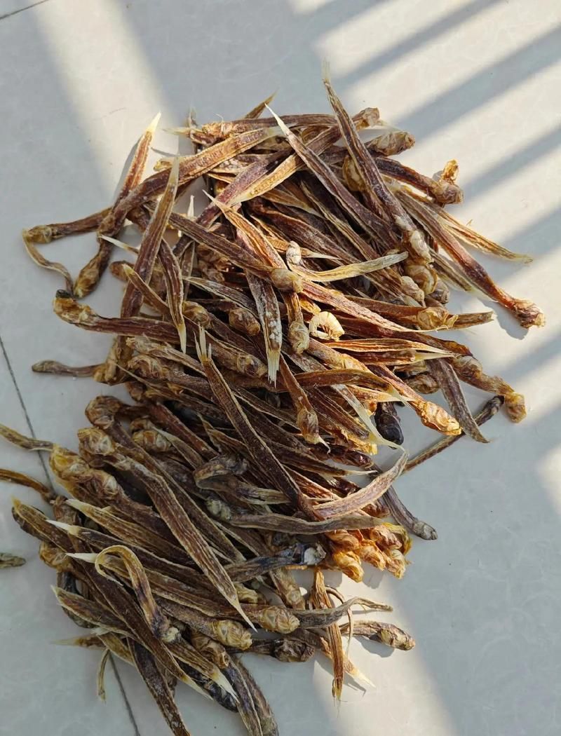 海龍魚干如何食用？，海龍魚干怎么做？