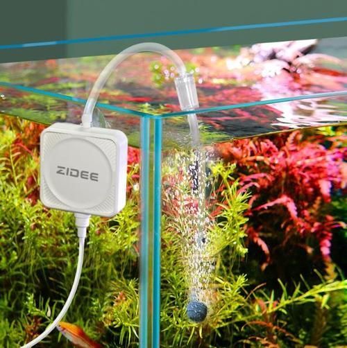 如何改善龍魚缸中的溶氧量？，如何改善龍魚缸中的溶氧量改善龍魚缸中的溶氧量效率