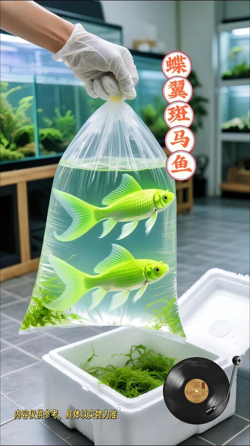 如何區分斑馬鴨嘴魚的好壞？，如何區分斑馬鴨嘴魚的好壞