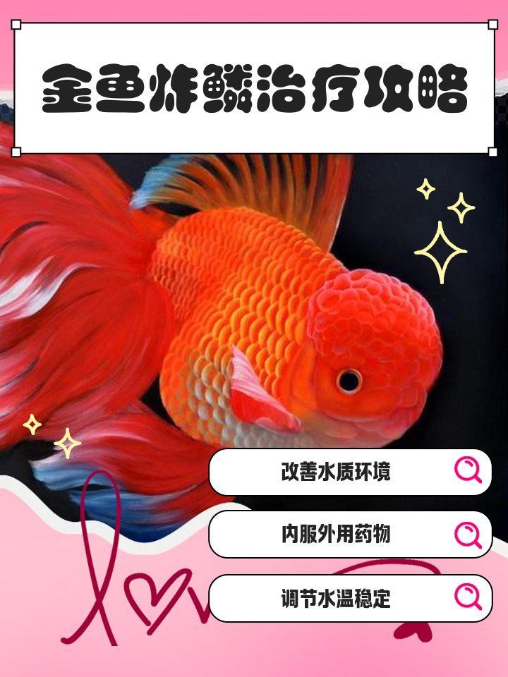 金魚炸鱗自愈需要多長時間，金魚炸鱗自愈需要多長時間金魚炸鱗后能否自愈、需要多久恢復
