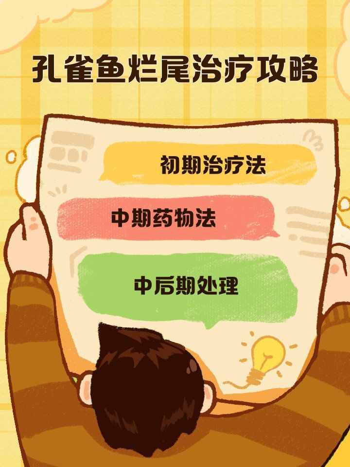魚爛尾后多久會康復，孔雀魚爛尾治療攻略新奇想法及解決方法奶球喵喵的小窩