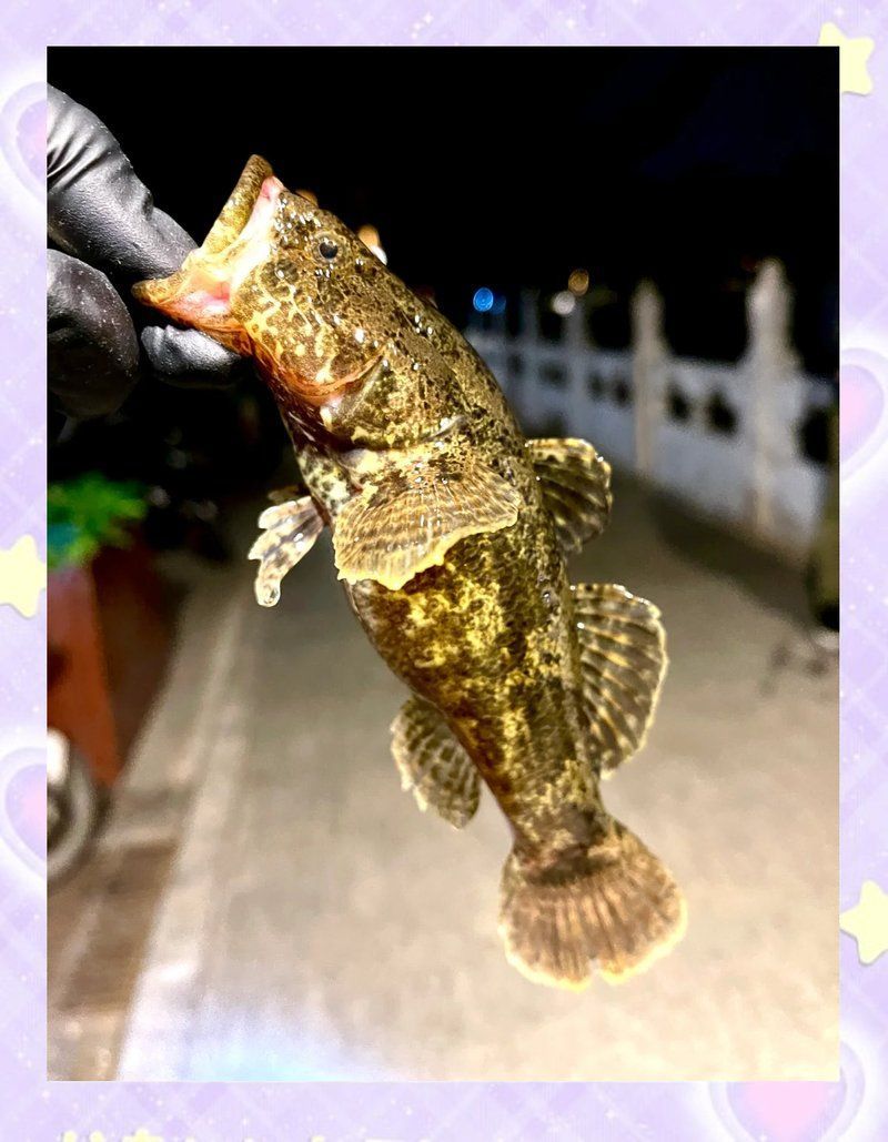 如何捕捉和烹飪沙龍魚？，mcp工具列表中無(wú)相關(guān)工具列表中無(wú)相關(guān)工具列表中無(wú)相關(guān)工具