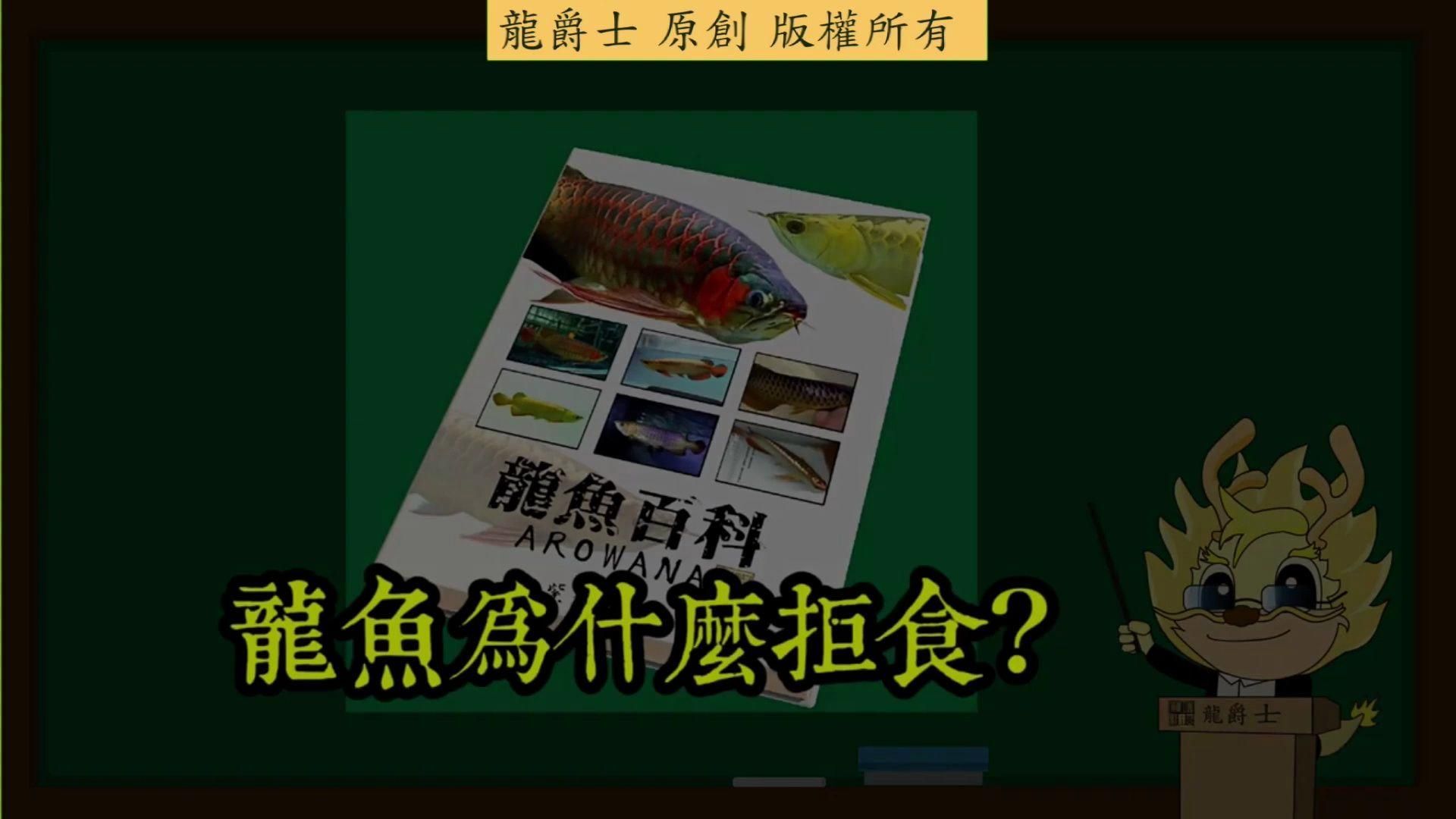 龍魚不吃飯會死嗎？，龍魚不吃飯會死嗎