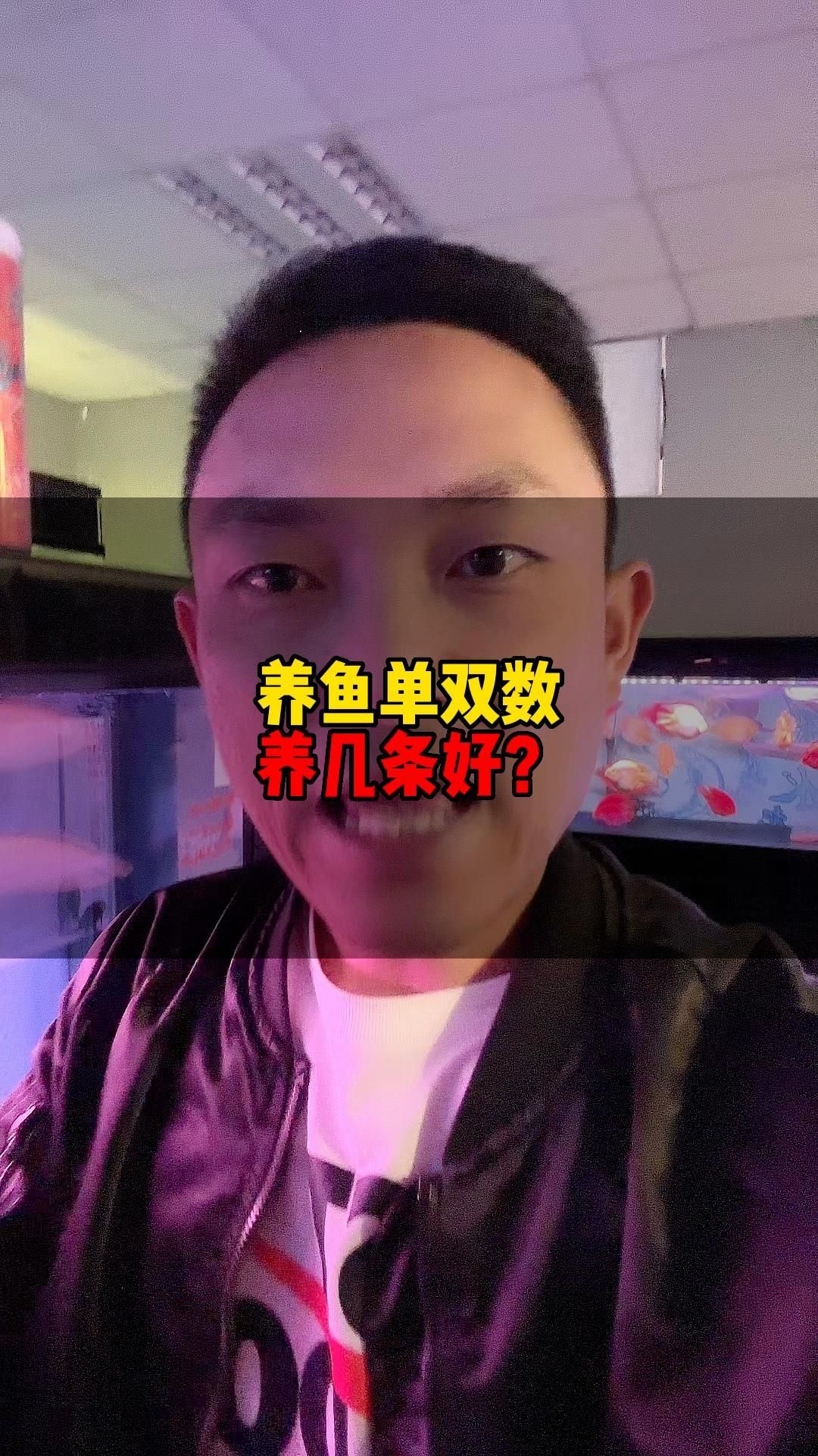 屬龍的養魚養幾條魚好，屬龍人養魚多久見效，屬龍人養魚有哪些禁忌，
