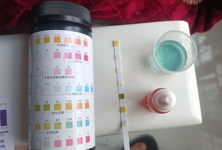 如何預防龍魚爛鰓的發生