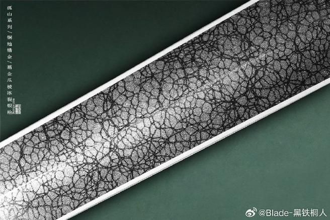 麥肯斯銀版魚壽命有多長？，關于麥肯斯銀版魚的一些建議
