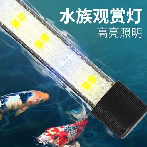 有哪些品牌龍魚燈推薦？，哪些品牌龍魚燈值得推薦