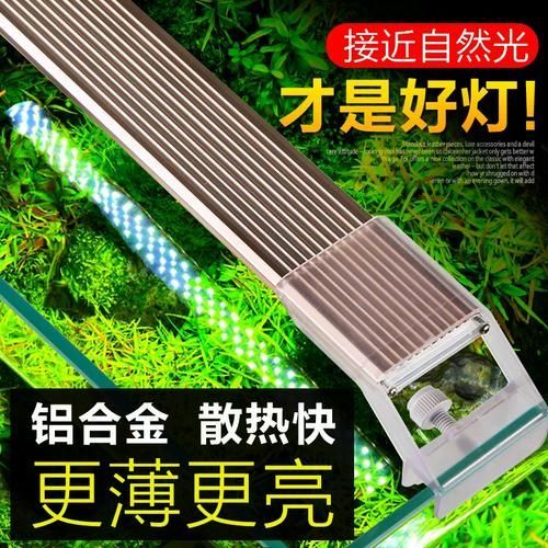 有哪些品牌龍魚燈推薦？，哪些品牌龍魚燈值得推薦