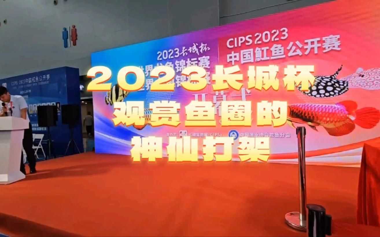 有哪些知名龍魚選手參加了比賽？