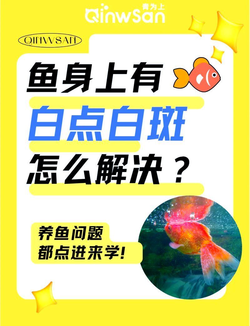 預防觀賞魚長白霜的方法