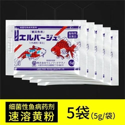 哪些品牌的龍魚抗病毒藥比較可靠？，新加坡艾琪龍魚抗病毒藥（furazolidone）