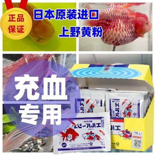 哪些品牌的龍魚抗病毒藥比較可靠？，新加坡艾琪龍魚抗病毒藥（furazolidone）