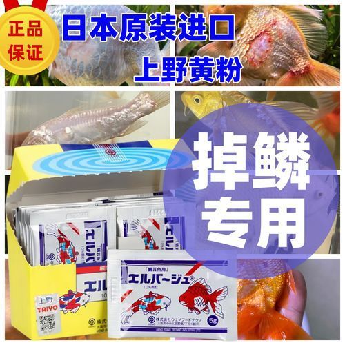 哪些品牌的龍魚抗病毒藥比較可靠？，新加坡艾琪龍魚抗病毒藥（furazolidone）