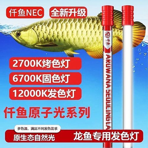 有哪些品牌推薦使用NEC龍魚燈，nec龍魚燈品牌對比清單