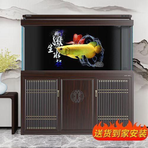 有哪些品牌適合120×60魚缸，120×60魚缸的大小、水質管理、過濾系統、水質管理、過濾系統的選擇