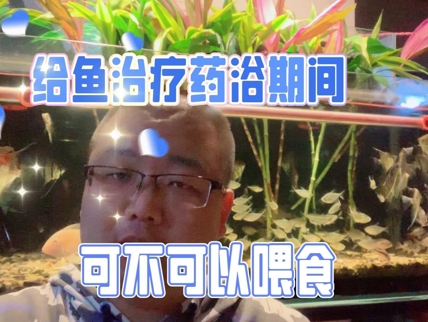 魚病治療期間需要喂食嗎，魚病治療期間需要喂食嗎,治療魚病期間是否需要喂食