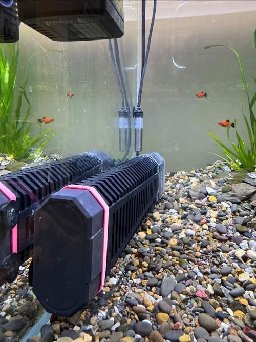如何維持紅龍魚缸的水溫穩(wěn)定？，如何維持紅龍魚缸的水溫穩(wěn)定？用戶要求詳解