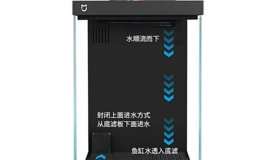 越南龍魚的養(yǎng)殖環(huán)境如何？，越南新手養(yǎng)殖越南龍魚