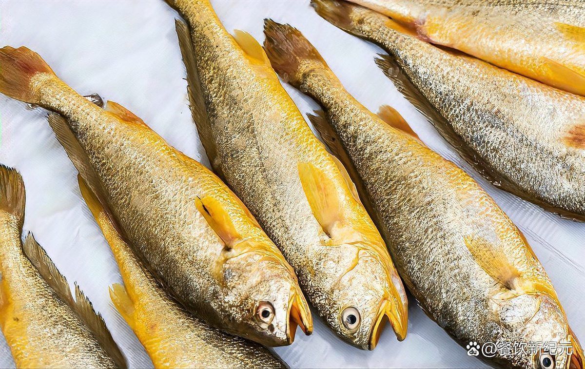 如何辨別黃龍魚(yú)的真假，如何辨別黃龍魚(yú)（亞洲龍魚(yú)（arowana）真假鑒別指南
