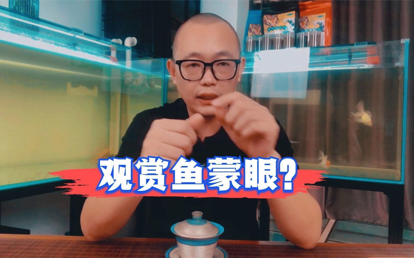 魚兒蒙眼病會自愈嗎，魚兒蒙眼病會自愈嗎,